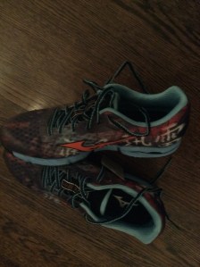 Excited to try my Mizuno Wave Hayate trail shoes. 